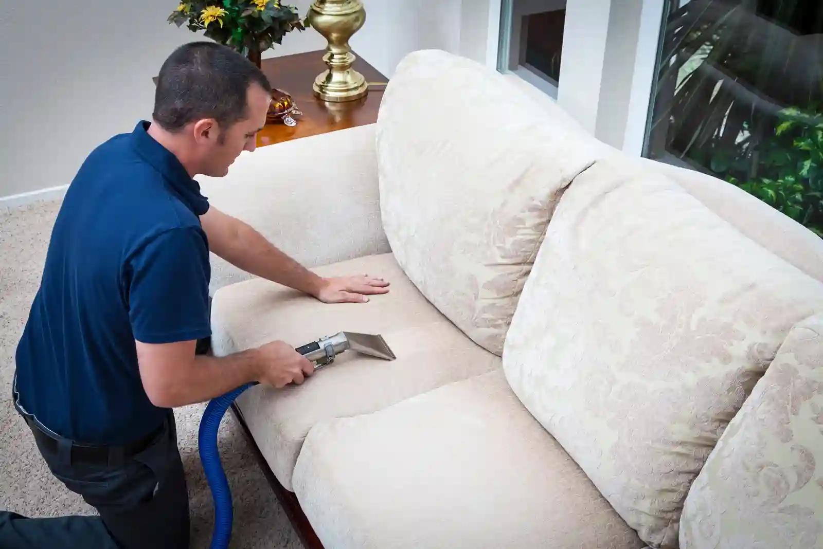 sofa cleaning