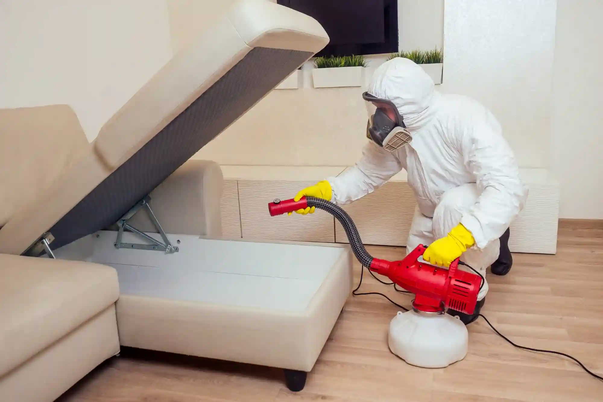pest control Abu Dhabi