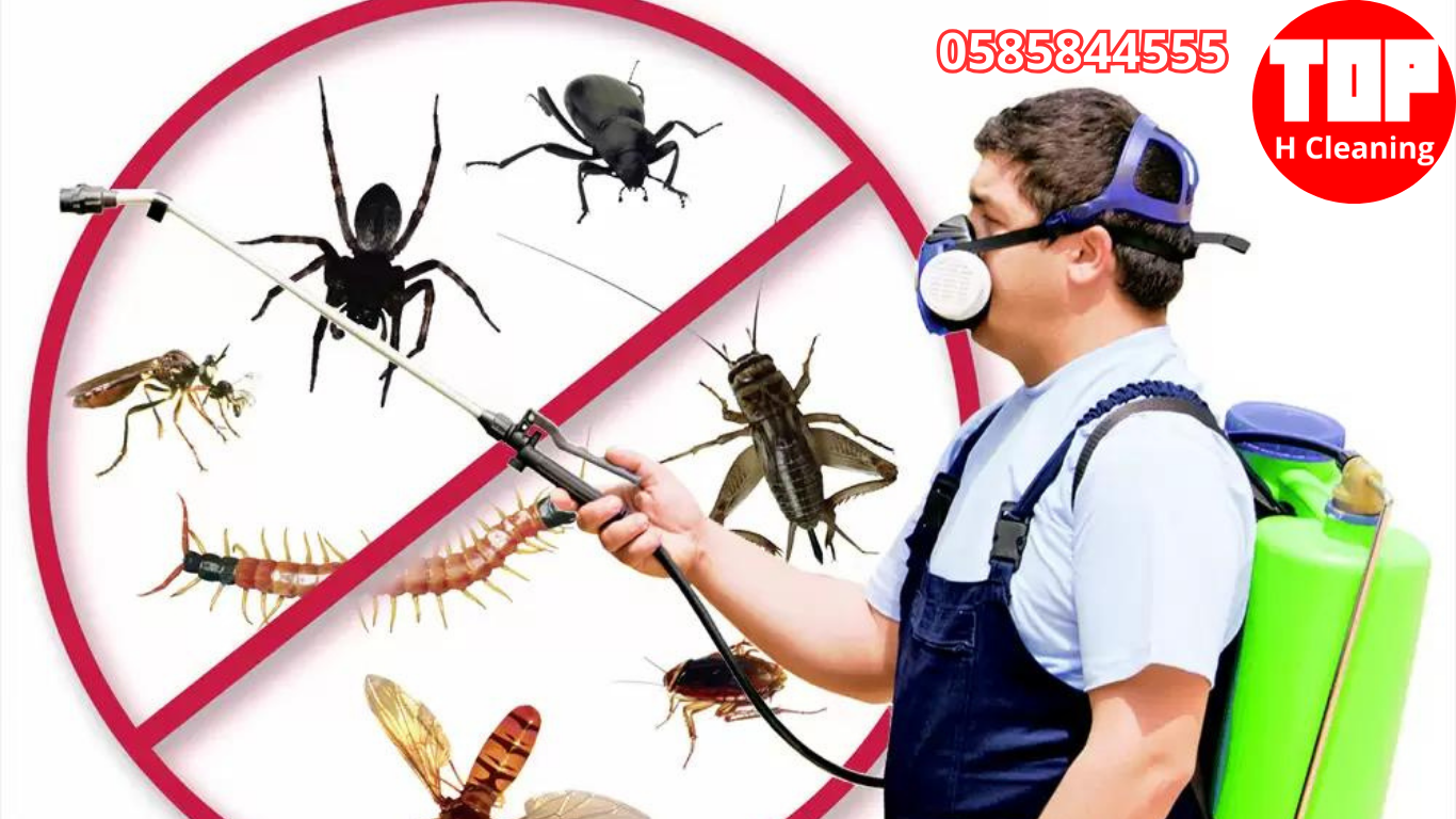 Pest Control Company Abu Dhabi