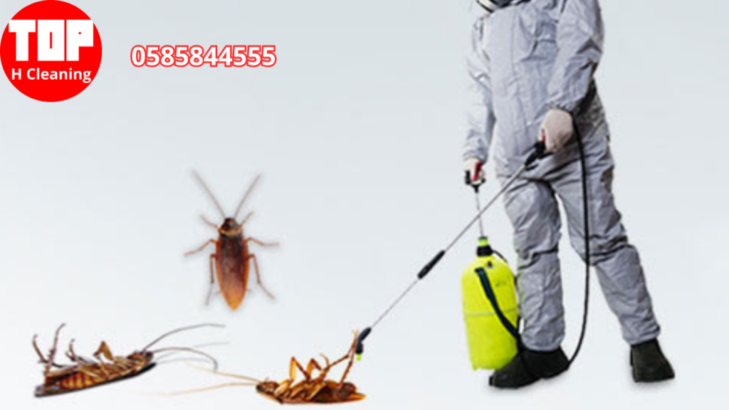 Pest Control in Abu Dhabi