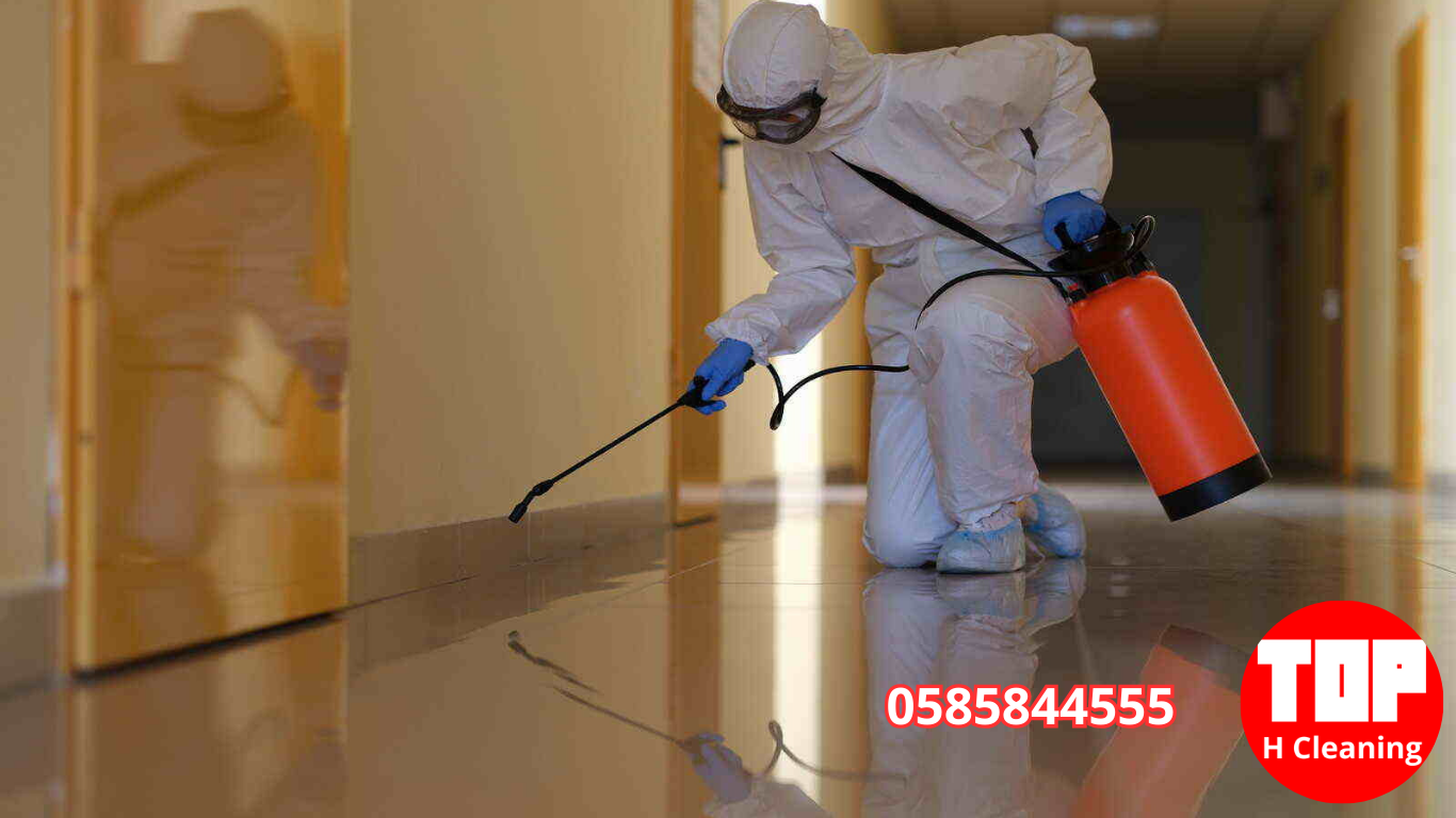 Pest Control Abu Dhabi