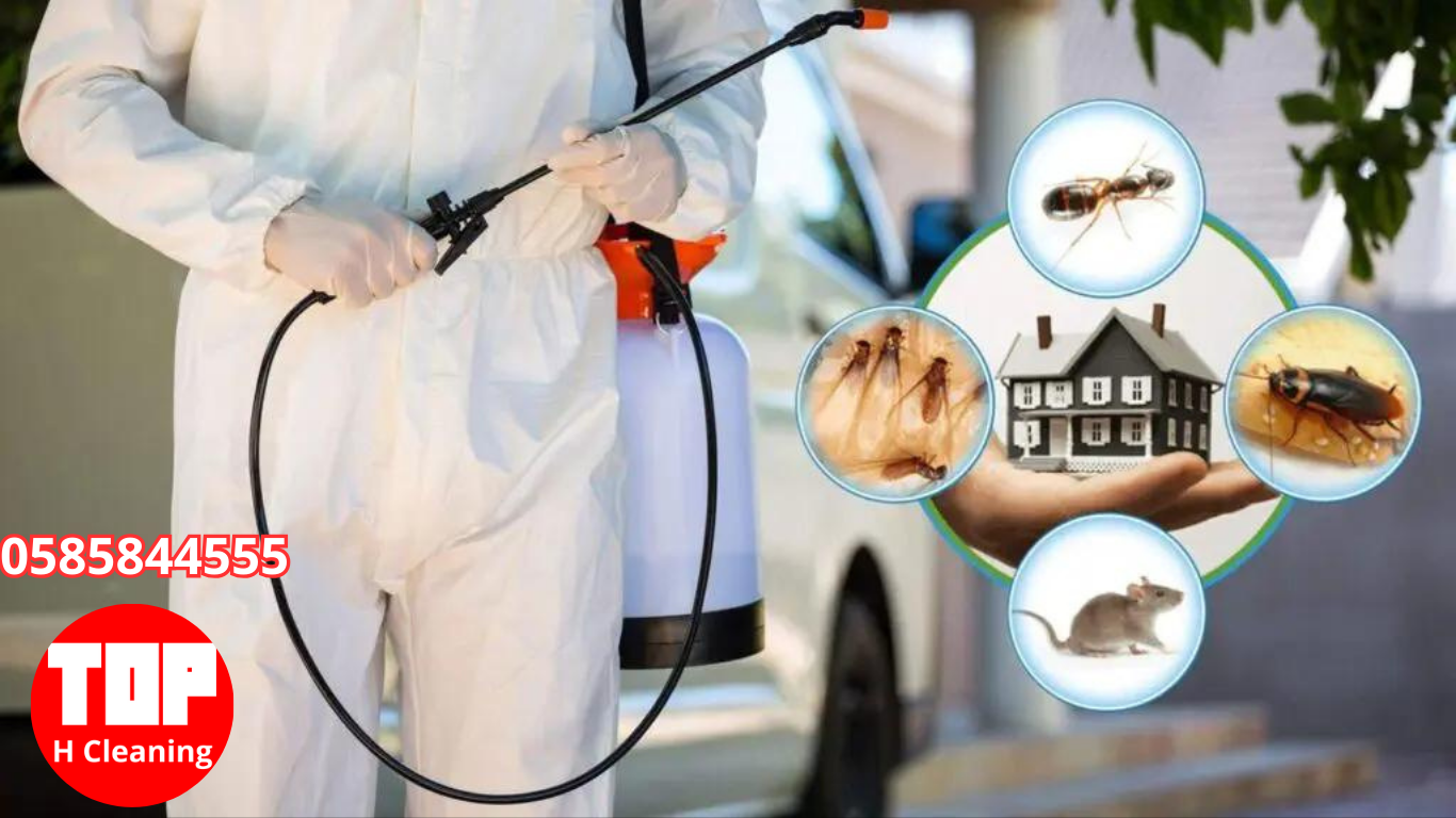 Pest Control Company Abu Dhabi
