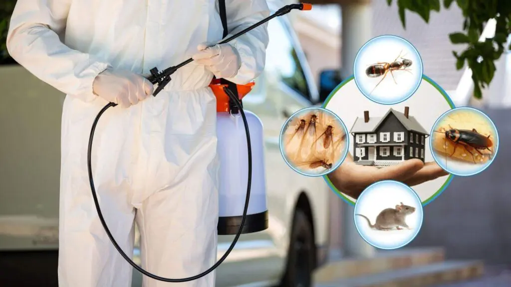 pest spraying services in Abu Dhabi