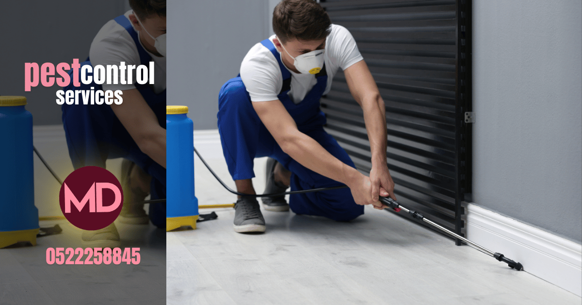 مكافحة حشرات الشارقة