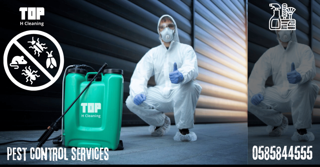 Pest Control Services in Sharjah