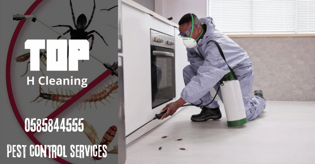 Pest Control Services in Ajman