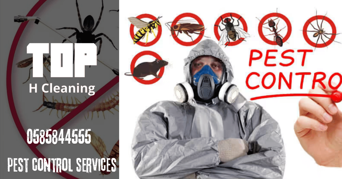 Pest Control Ajman