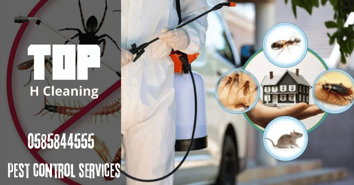 Pest Control Ajman