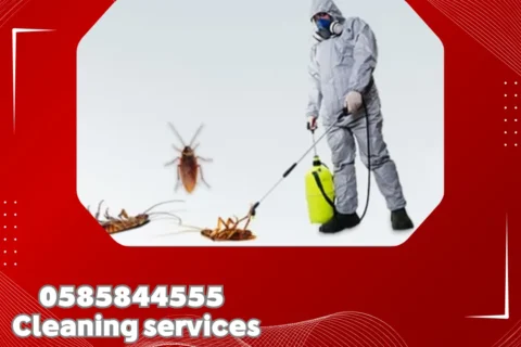 مكافحة حشرات في أبوظبي