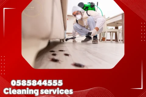 Pest Control in Ajman