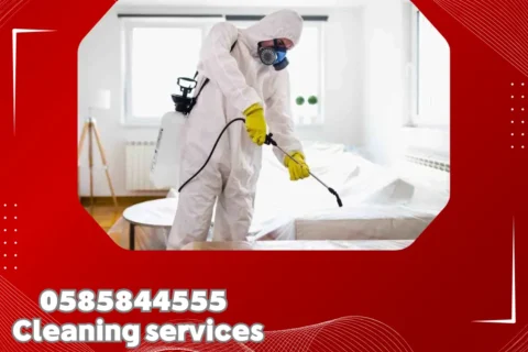 مكافحة حشرات في أبوظبي