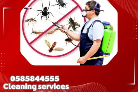 Pest Control in Dubai