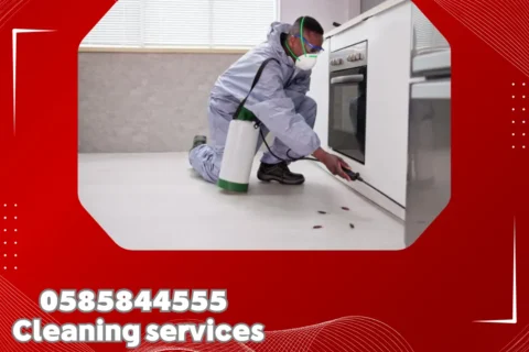 مكافحة حشرات في أبوظبي