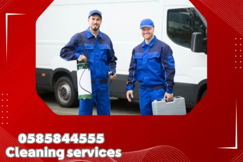 Pest Control in Abu Dhabi