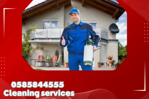 Pest Control in Sharjah