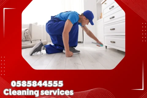 Pest Control in Dubai